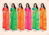Star Chiffon 213 By Ruchi Chiffon Casual Wear Saree Exporters In India